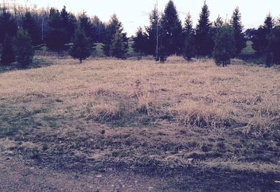 5th image of 244203 Deer Creek Ln