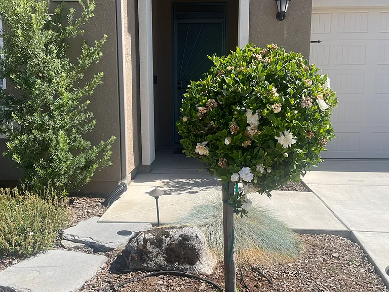 3028 Teague Ave — Photo 1