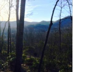 7 Wood Lily Trl, Arden, NC 28704