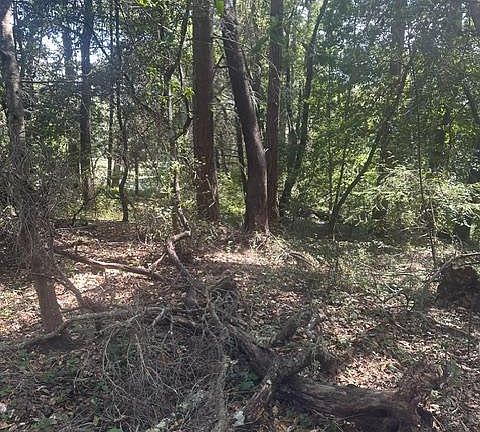 2nd image of Jarvis Rd