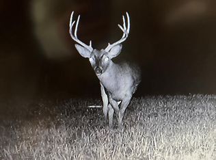 X Dirt Road Off Of Shaifer Rd, Pt Gibson, MS 39150