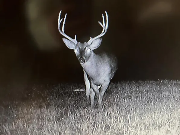 X Dirt Road Off Of Shaifer Rd, Pt Gibson, MS 39150