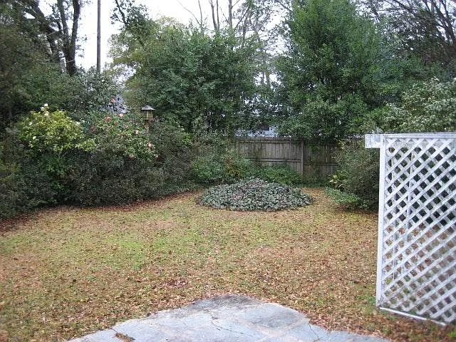 Large Backyard (not fenced)