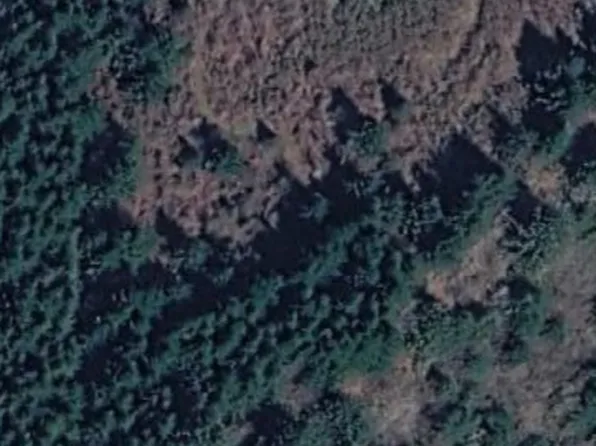 Bernhardt Heights Rd, Florence, OR 97439