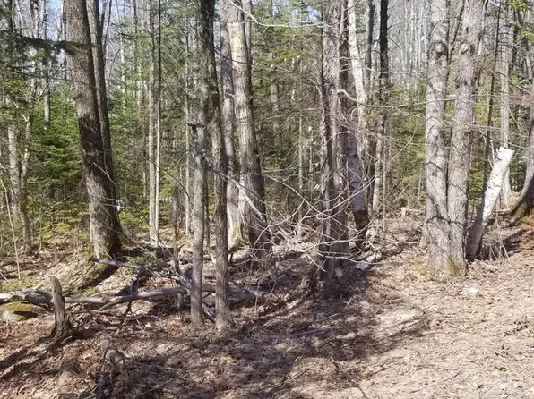 Lot 33 Rt. 41/Townhouse Road, Vienna, ME 04360