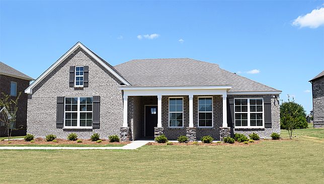 Elevation Image 1.