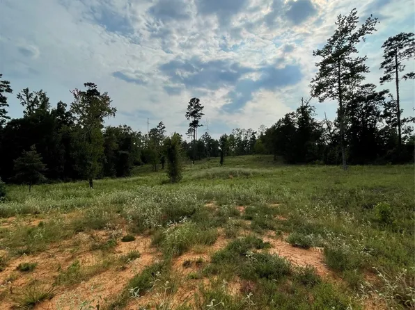 135 Fire Tower Rd, Plain Dealing, LA 71064