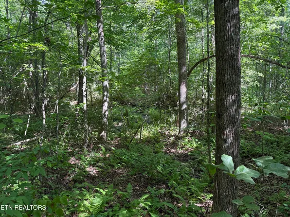W Laurel Way Lot 18, Monterey, TN 38574
