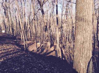 Lower Ridge Rd LOT 65, Edgemont, AR --