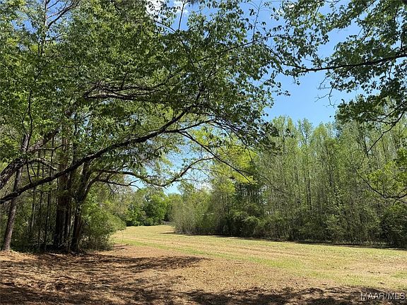 2nd image of 2 County Road 81