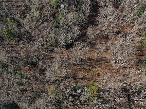 3rd image of 0 County Road 1617