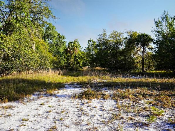 356 Drayton Island Rd #23, Georgetown, FL 32139