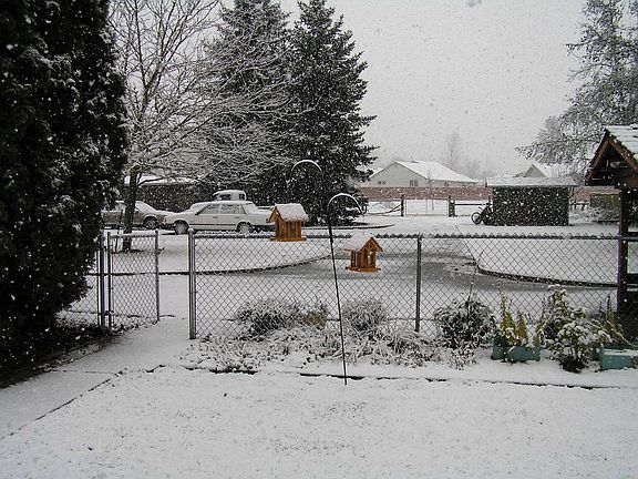 3 backyards, 4 outbldgs