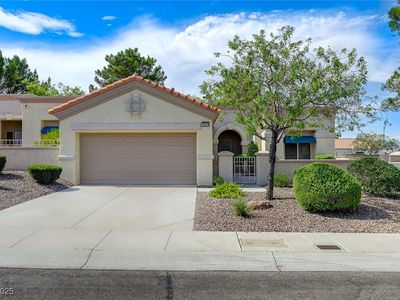 10616 Sky Meadows Ave, Las Vegas, NV, 89134