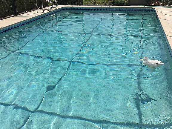 Heat pump. Screened in pool