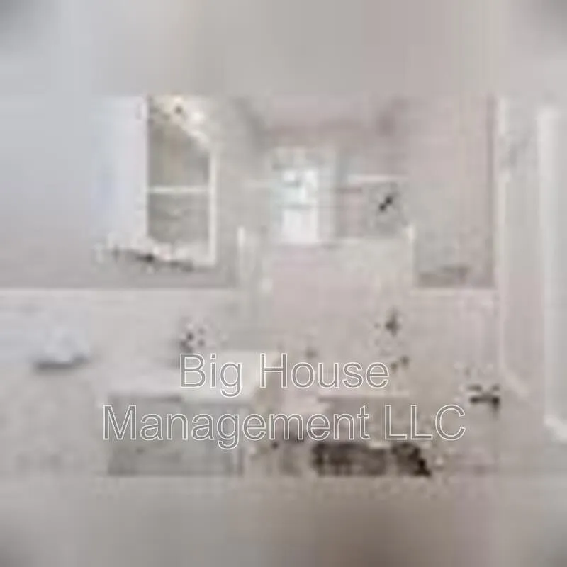 2 bed, 1.0 bath, 800 sqft, $1,250 — Photo 3