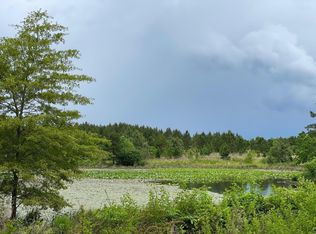 Blackville Rd, Gaston, SC 29053