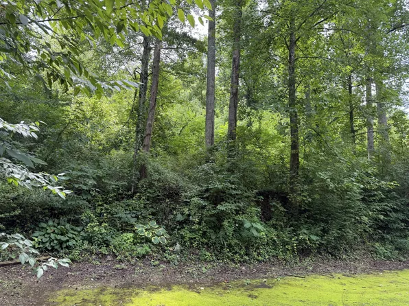 315 Hilltop Rd, Gatlinburg, TN 37738