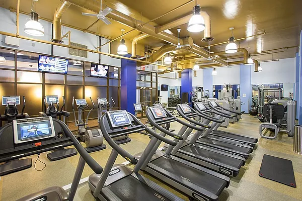 Rented by Citi Habitats | media 17