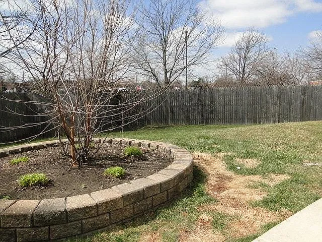 Patio and Yard