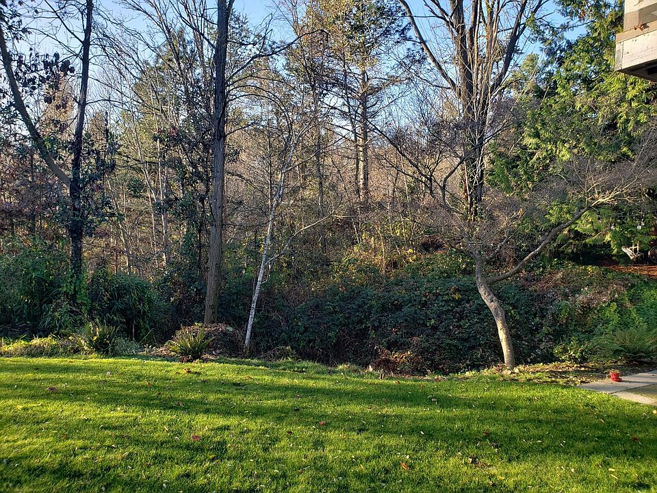 Outlook on to Ravenna Park