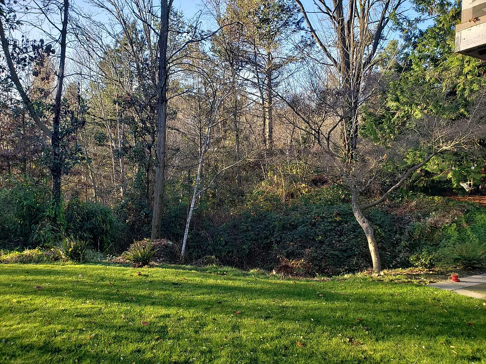 Outlook on to Ravenna Park
