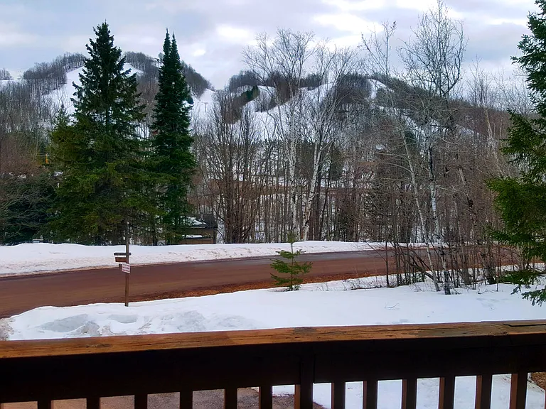 6368 Snowflake St #2 — Photo 9