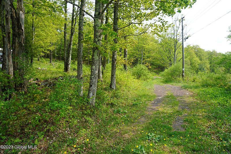 2nd image of 84 Thunder Hill Road