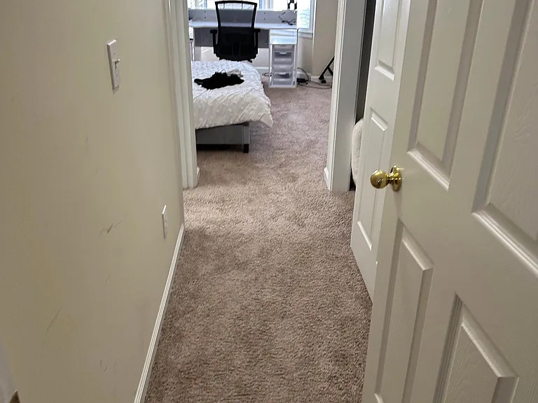 3650 Jones Ferry Ln — Photo 14