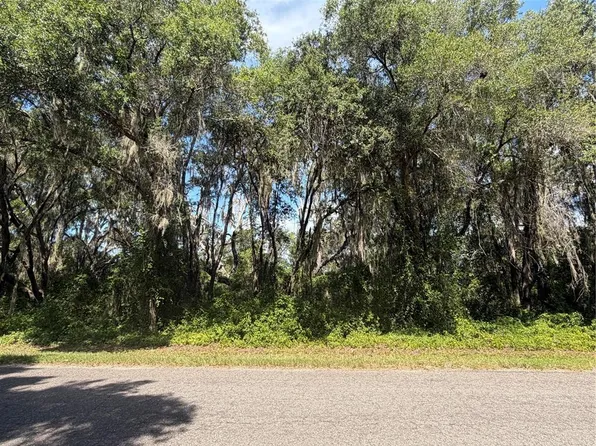 TBD GUAVA TERRACE LOT 15, OCKLAWAHA, FL 32179