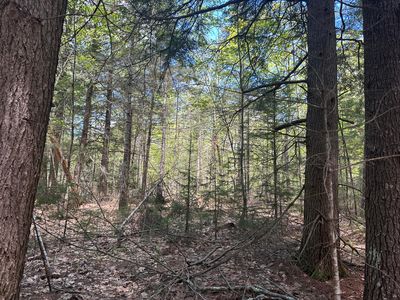 Lot#10 Shamrock Lane, Damariscotta, ME, 04543