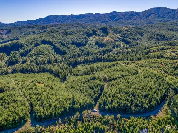 8 Dell Creek Mainline Road, Naselle, WA 98638