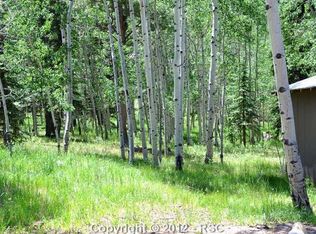 310 Will Scarlet Dr, Divide, CO 80814