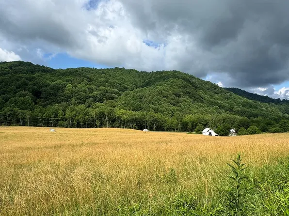 Tbd Troutdale Hwy, Mouth Of Wilson, VA 24363