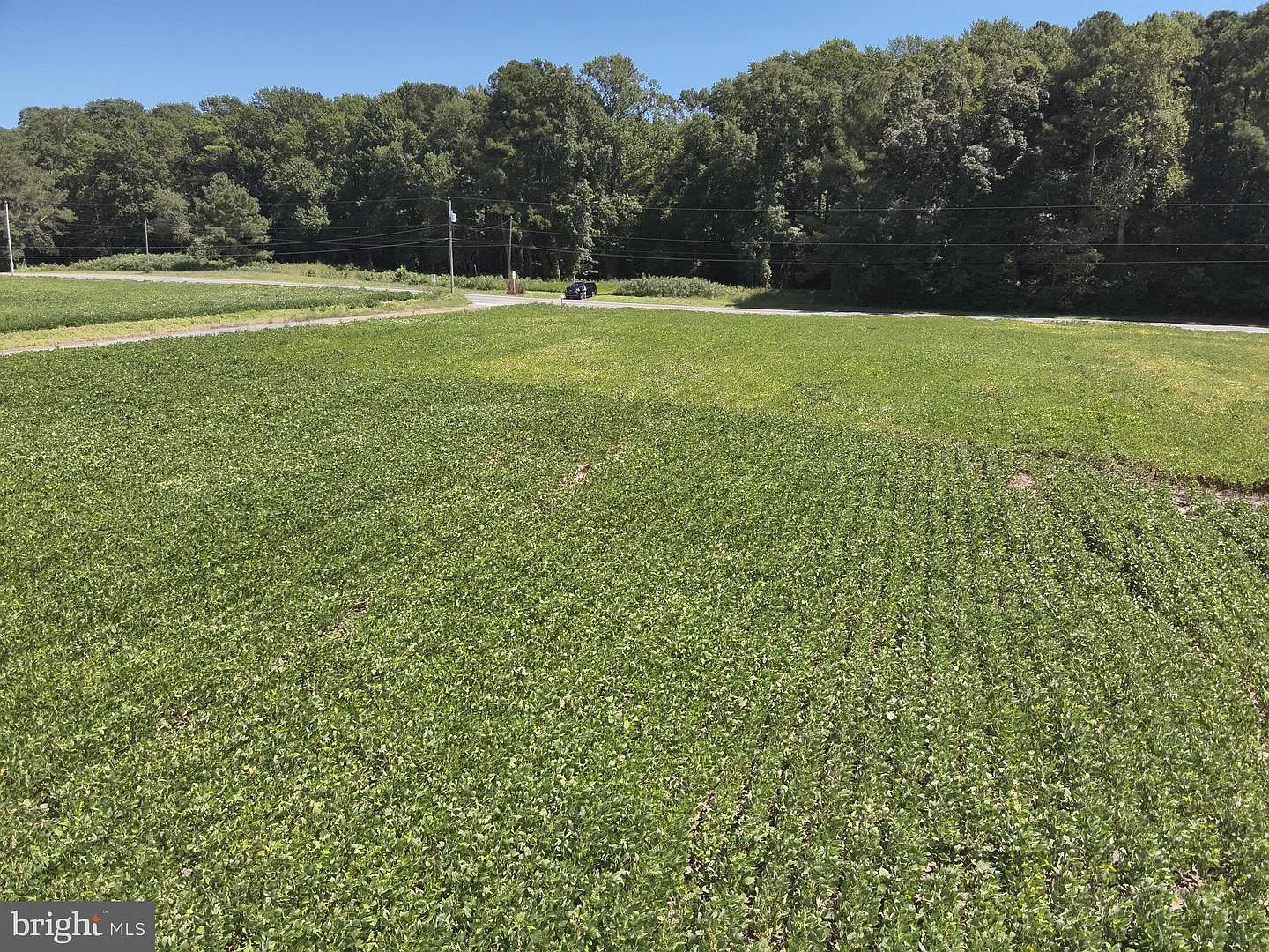 Route 12 photo 1