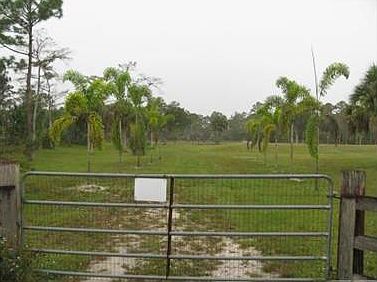 2nd image of 2195 Deer Run Blvd