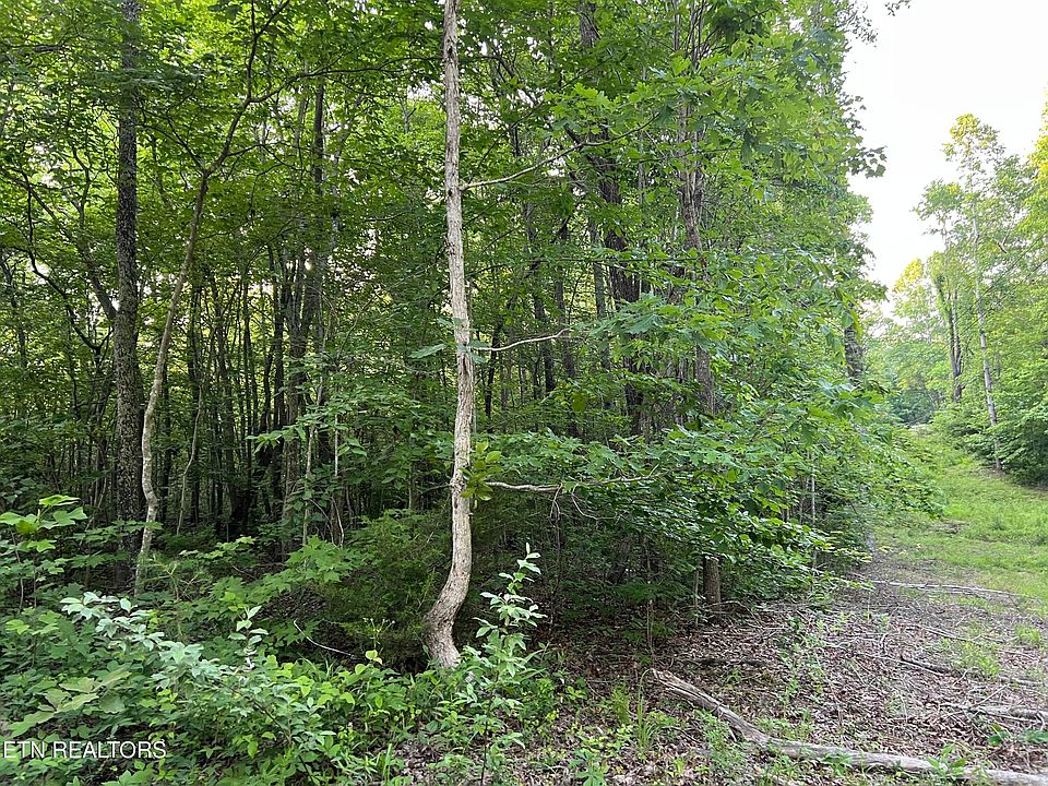 2nd image of Carson Town Rd