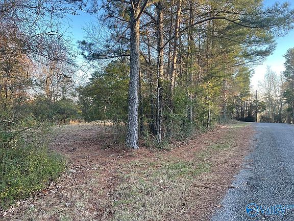 2nd image of 19 Leach Dr