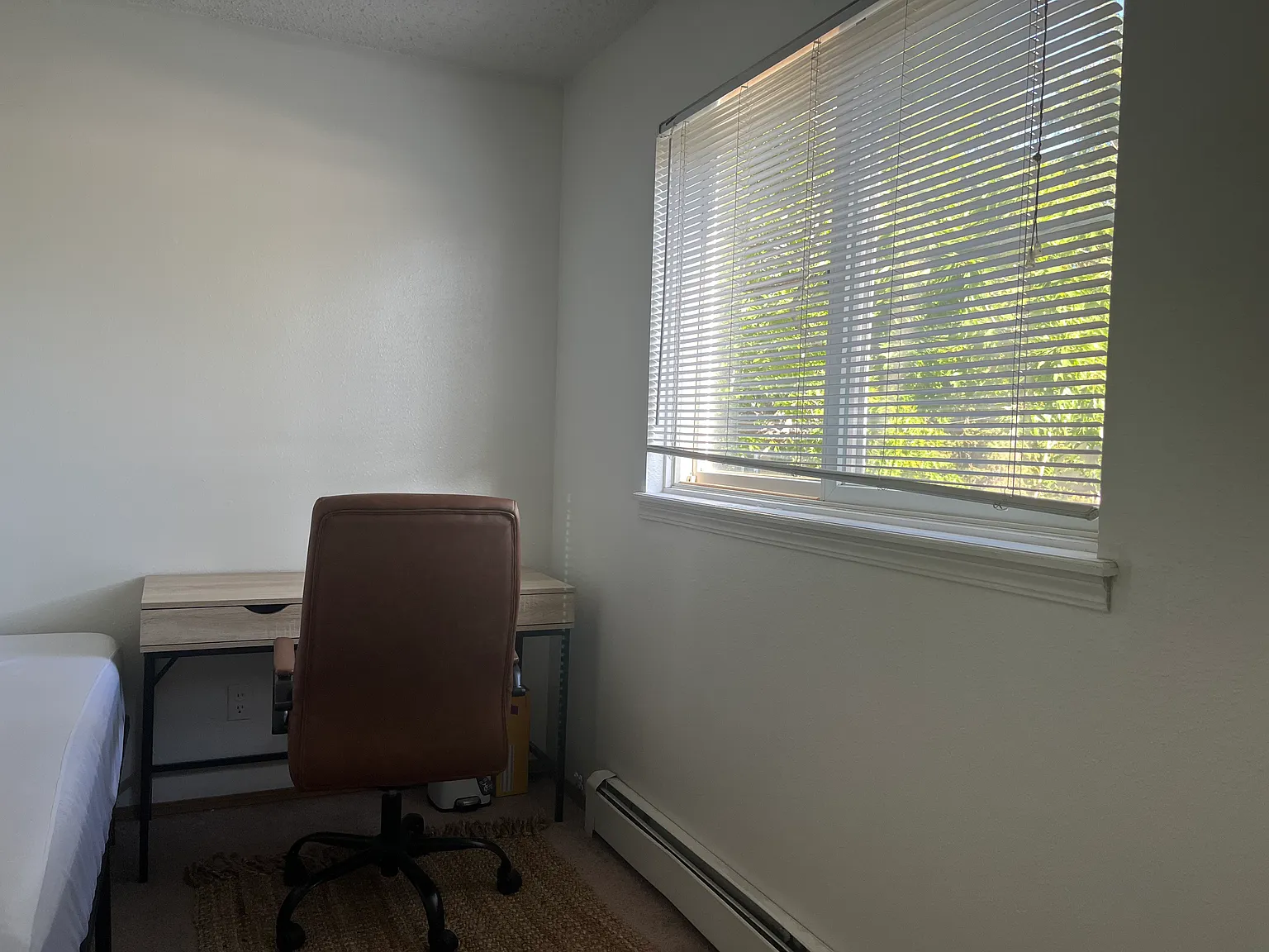 1 bed, $1,300 — Photo 2