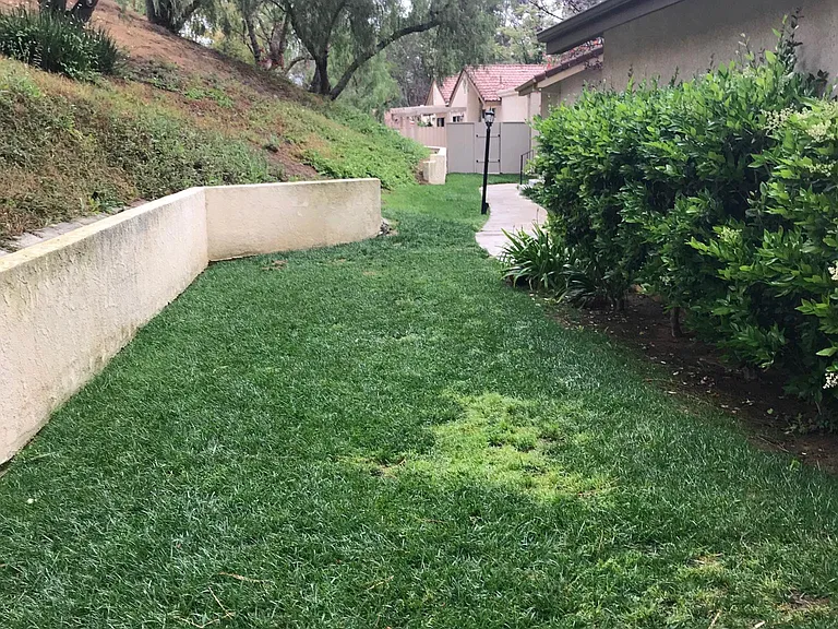 Front grass area