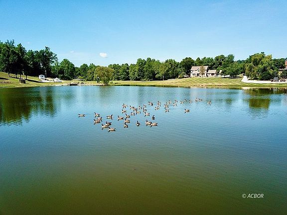 3rd image of 55 Pineview Dr