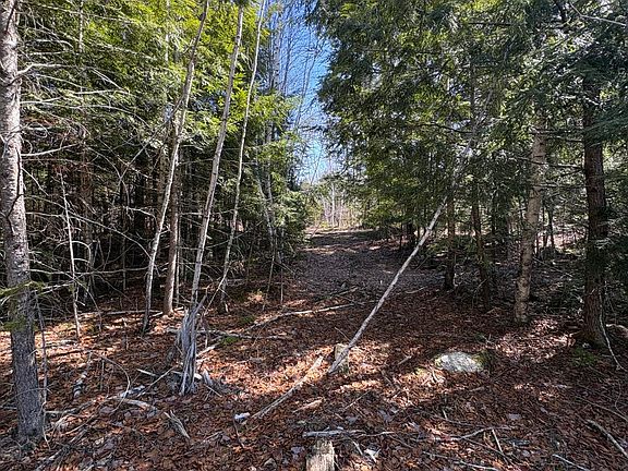 2nd image of Lot 116 Bass Overlook