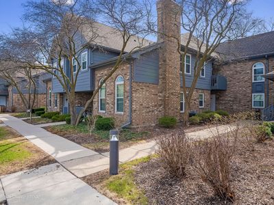 11 Foxcroft Rd APT 115, Naperville, IL, 60565