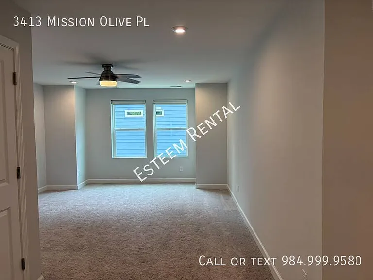 3413 Mission Olive Pl — Photo 36