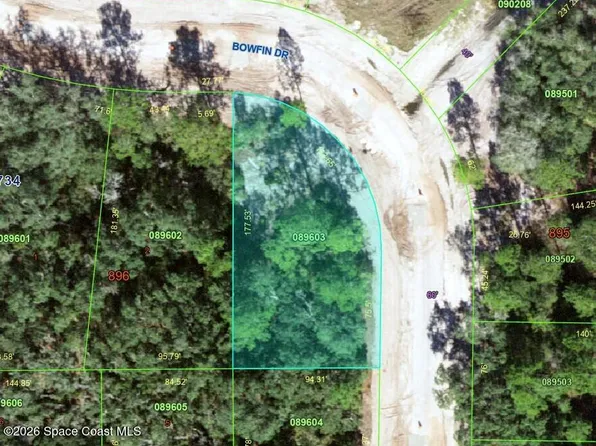 0 Bowfin Dr, Kissimmee, FL 34759