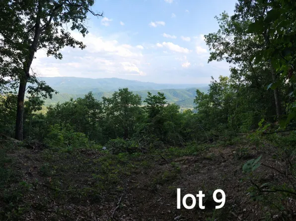 3280 Reese Mountain Rd #9, Elliston, VA 24087
