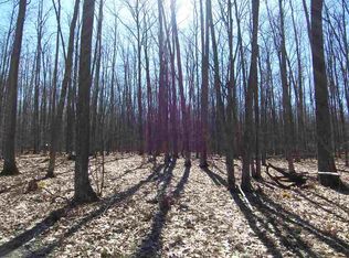 PARCEL 2B Devins Trl, Roscommon, MI 48653