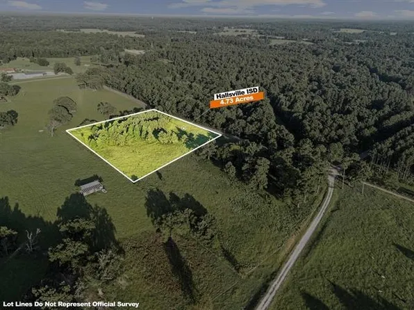 Peter Bonner Rd Tract 2, Hallsville, TX 75650