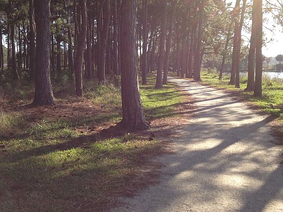 Path along lake Taylor Park.