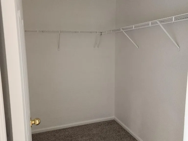 4845 Mount Evans St — Photo 9
